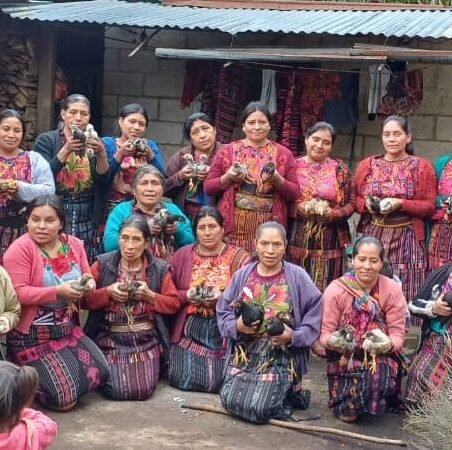 Home entrega de pollitos por implementacion de pequeñas granjas