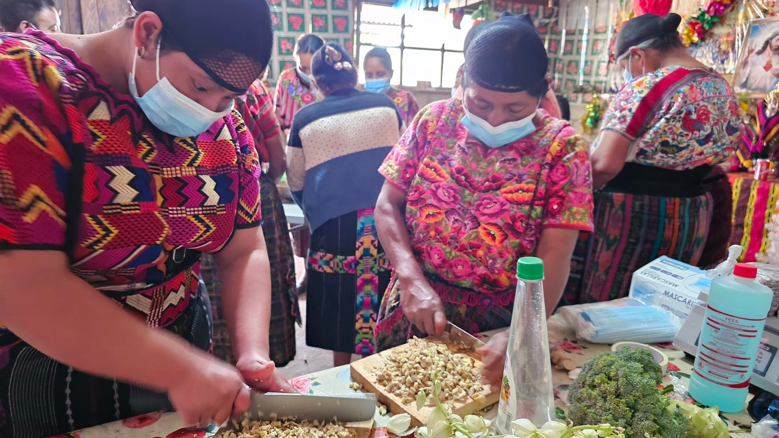elaboración de bioinsumos