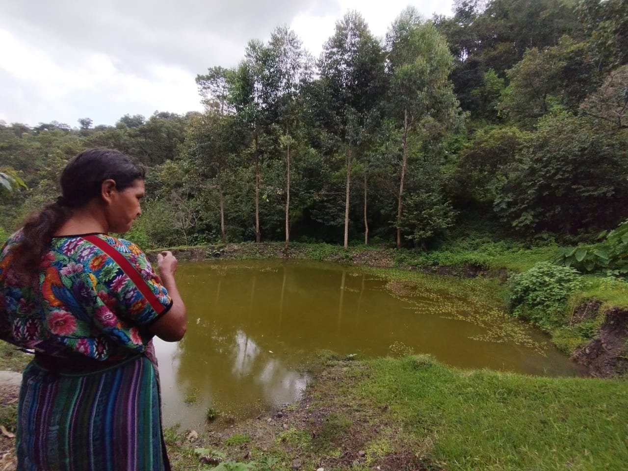 siembra y cosecha de agua de lluvia